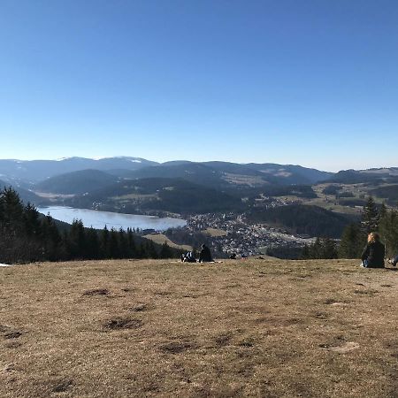 Ferienwohnung Zur Alten Schmiede Lenzkirch Dış mekan fotoğraf