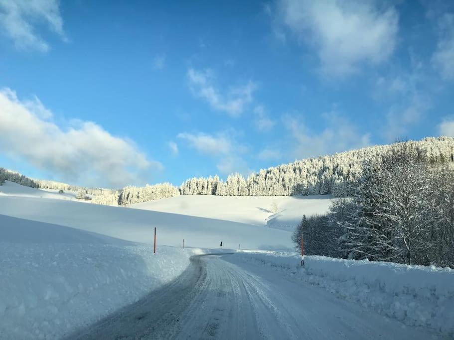 Ferienwohnung Zur Alten Schmiede Lenzkirch Dış mekan fotoğraf