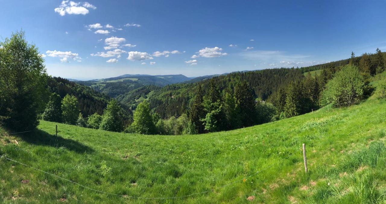 Ferienwohnung Zur Alten Schmiede Lenzkirch Dış mekan fotoğraf